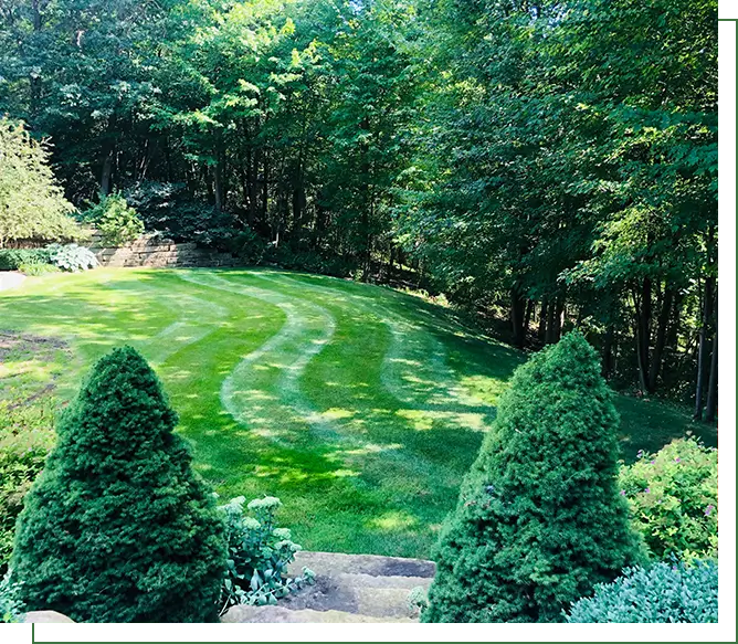 A painting of trees and bushes in the foreground.