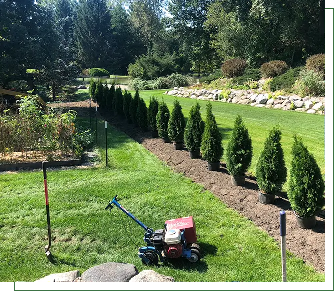 A lawn mower is parked in the middle of a garden.